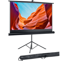Projector Screen