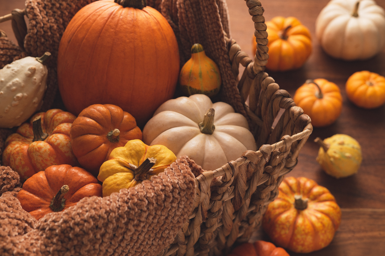 Pumpkin Spice Tasting & Painting