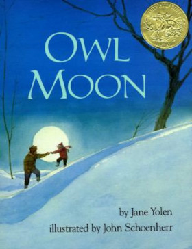 owl moon