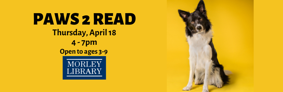 Paws 2 Read