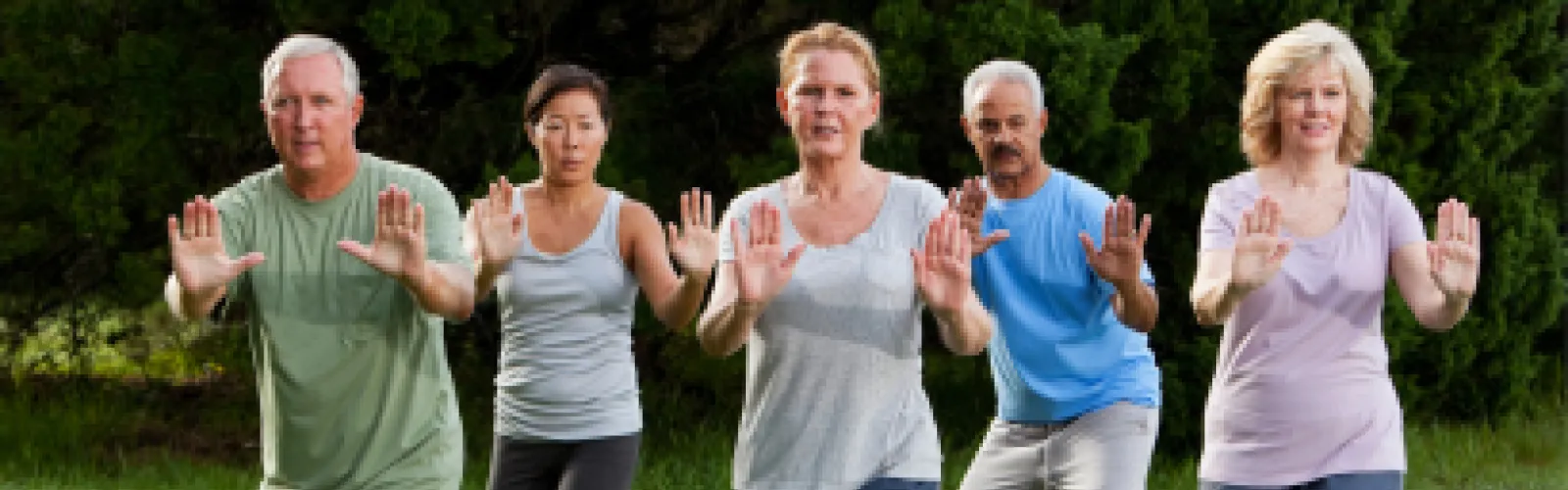 Tai Chi for Rehabilitation