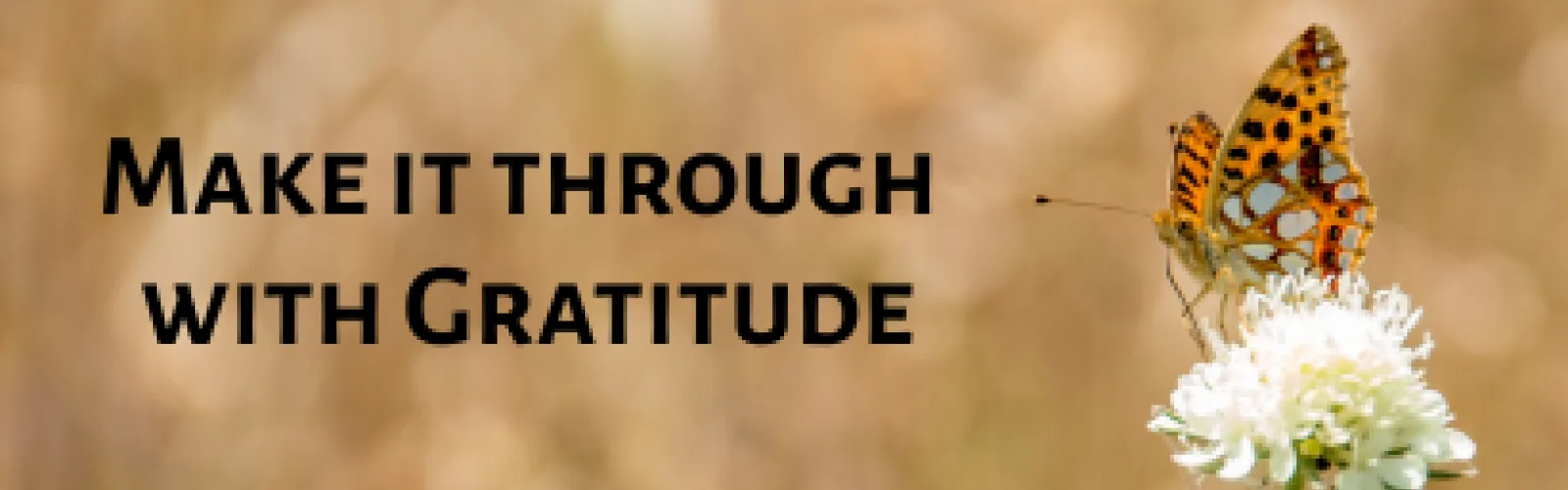 Make it Through with Gratitude