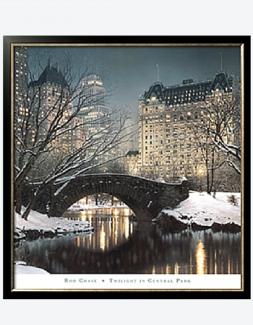 Twilight in Central Park (Rod Chase)
