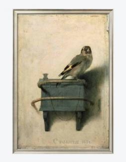 The Goldfinch, 1654 (Carel Fabritius, -1654)